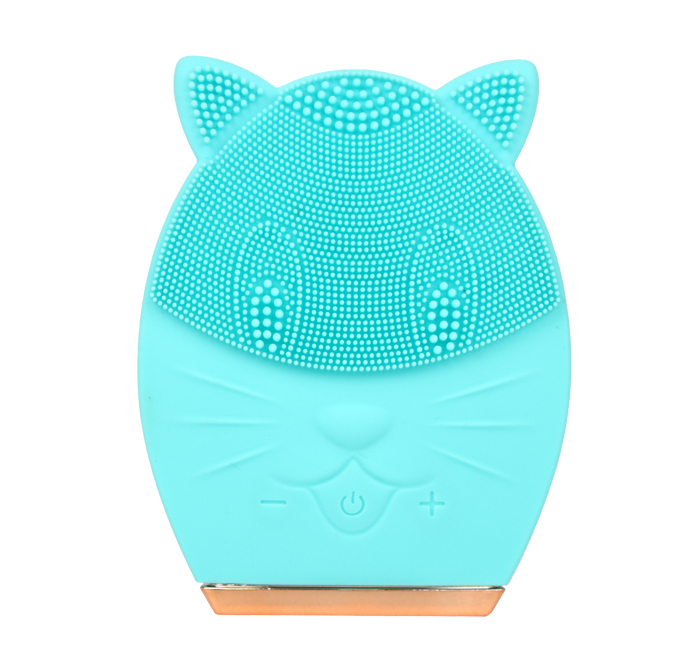 Ele-Silicone Facial Brush