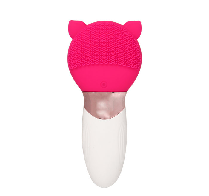 Ele-Silicone Facial Brush