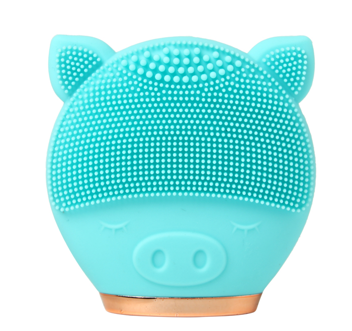 Ele-Silicone Facial Brush